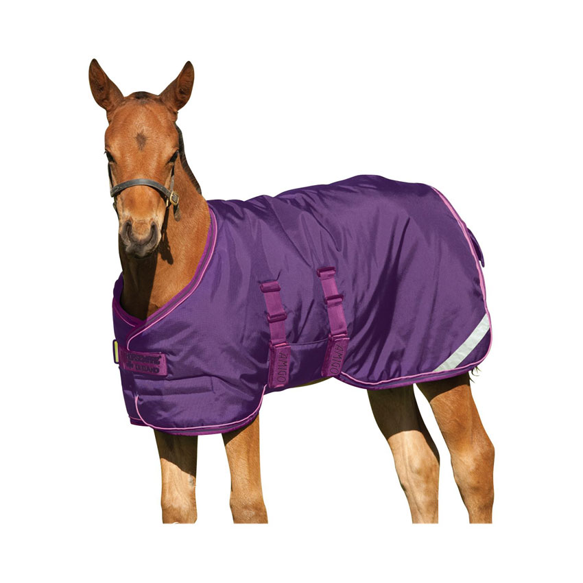 Foal turnout rug