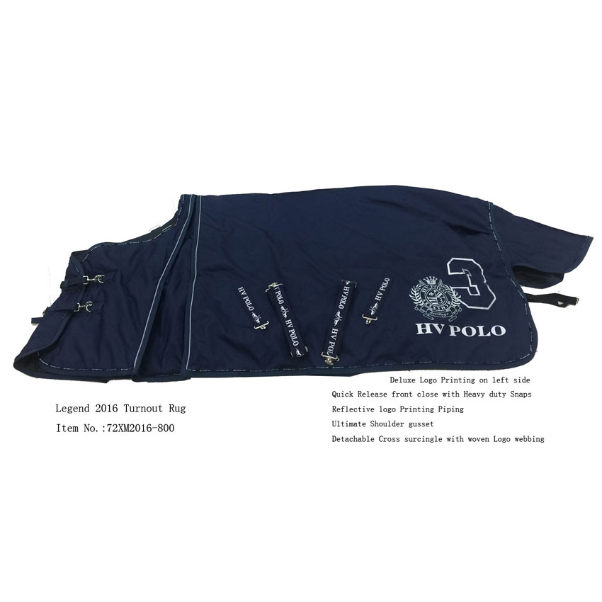 Legend 2016 turnout rug 240g