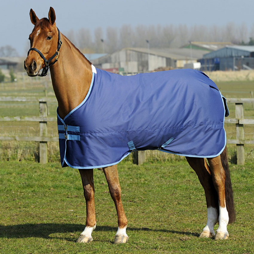 EC Turnout rug