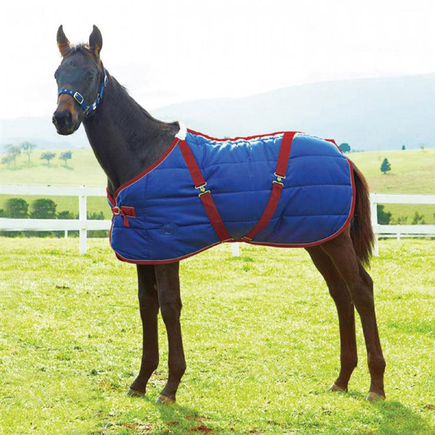 Foal stable rug